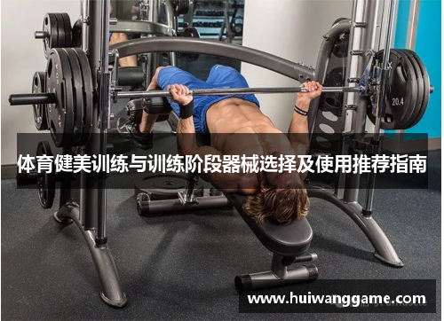体育健美训练与训练阶段器械选择及使用推荐指南