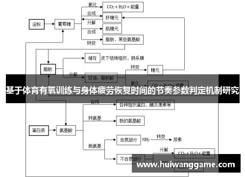 基于体育有氧训练与身体疲劳恢复时间的节奏参数判定机制研究